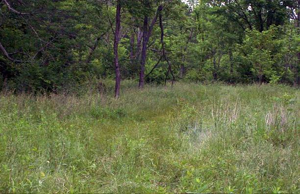 3818 Fender Road Melbourne, KY 41059 - Photo 10 of 15
