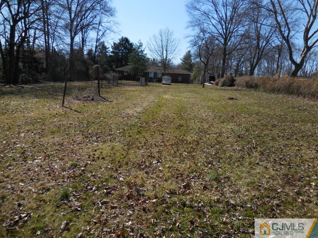578 Darwin Boulevard Edison, NJ 08820 - Photo 16 of 20 a view of outdoor space with trees