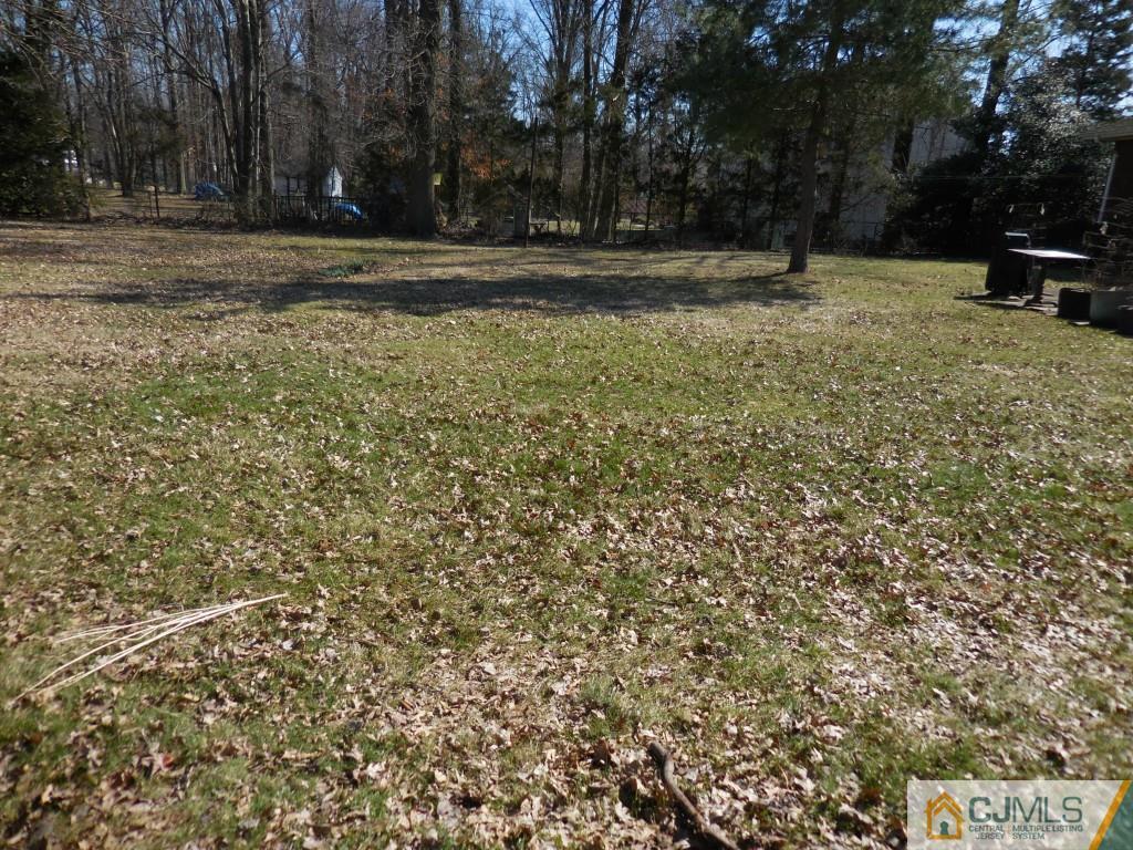 578 Darwin Boulevard Edison, NJ 08820 - Photo 18 of 20 a view of dirt field with trees