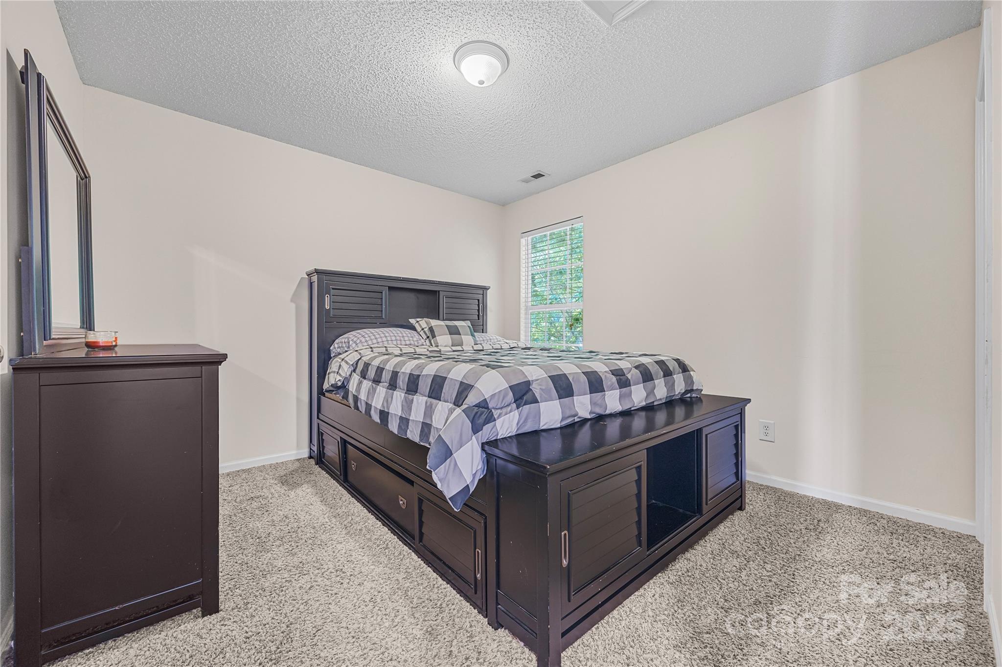 241 Chestnut Avenue Tega Cay, SC 29708 - Photo 23 of 38 Gallery Image 23