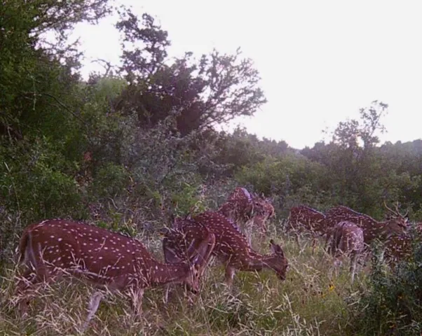 an aerial view of residential houses with city view