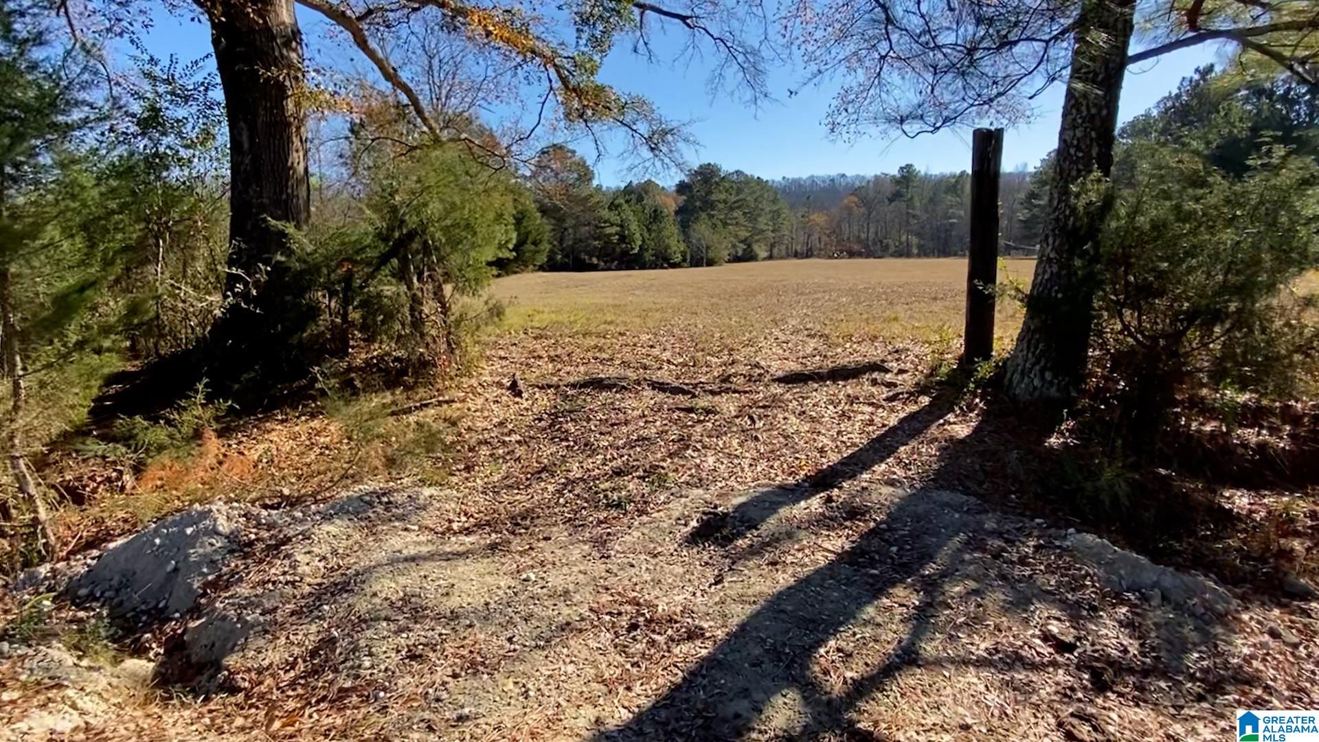 0 Highway 132, Unit 11 / ACRES Oneonta, AL 35121 - Photo 10 of 18