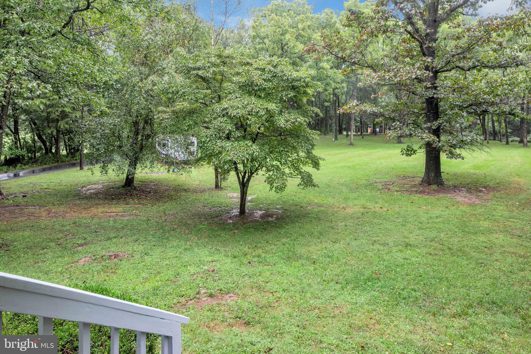 854 Stoney Bottom Road Front Royal, VA 22630 - Photo 31 of 38 View from the front portch