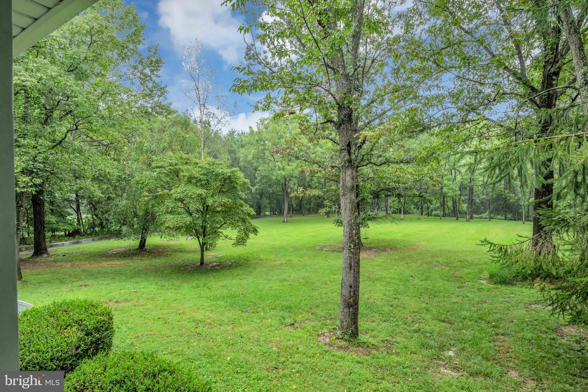 854 Stoney Bottom Road Front Royal, VA 22630 - Photo 32 of 38 Expansive front yard with mature trees