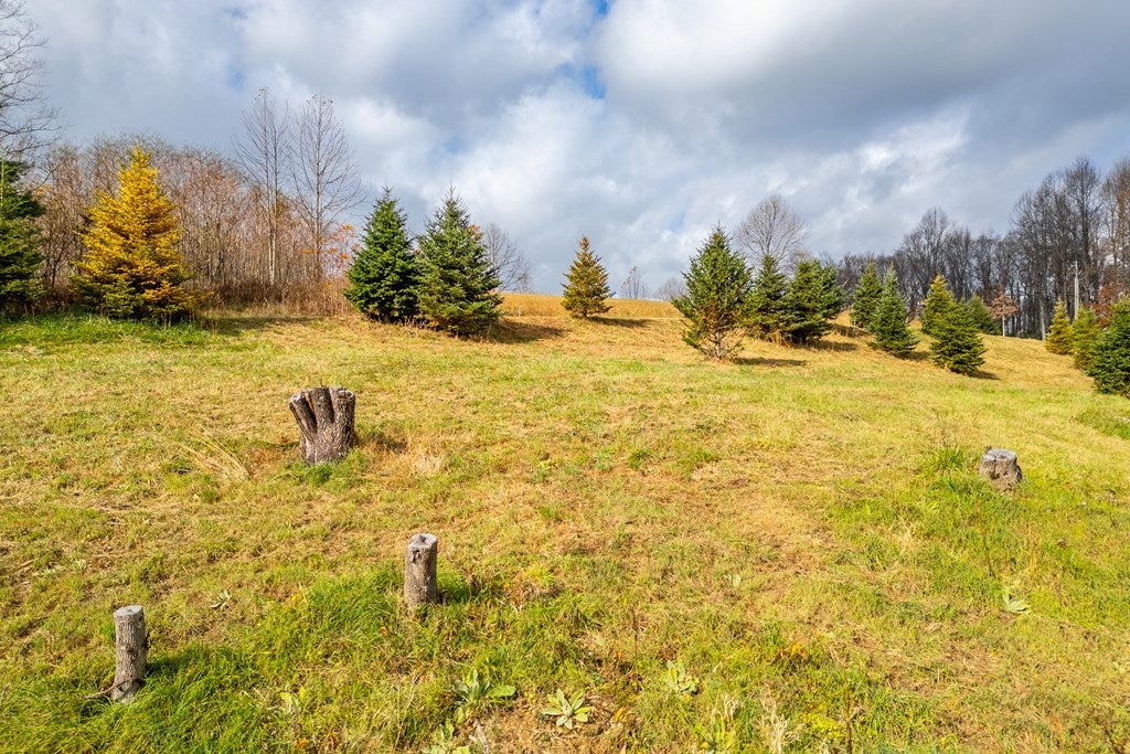 3.8-acre Dogwood Ridge, Unit 2B Fancy Gap, VA 24328 - Photo 11 of 39 Gallery Image 11