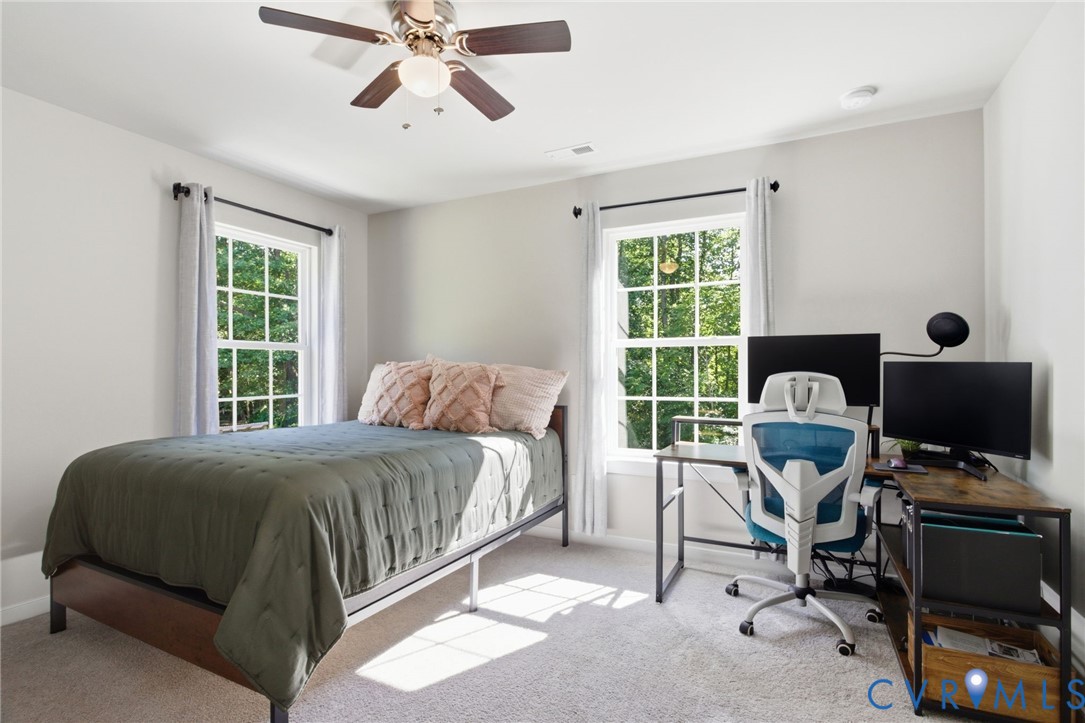 8405 East Patrick Henry Road Ashland, VA 23005 - Photo 35 of 46