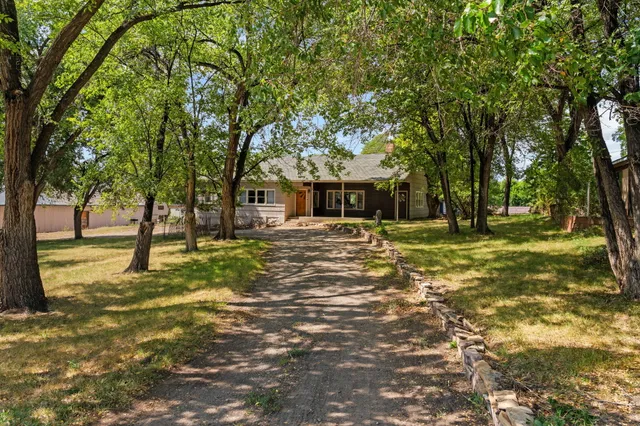a view of a yard with plants and trees