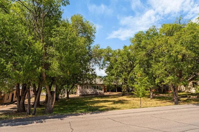a view of a yard with plants and trees
