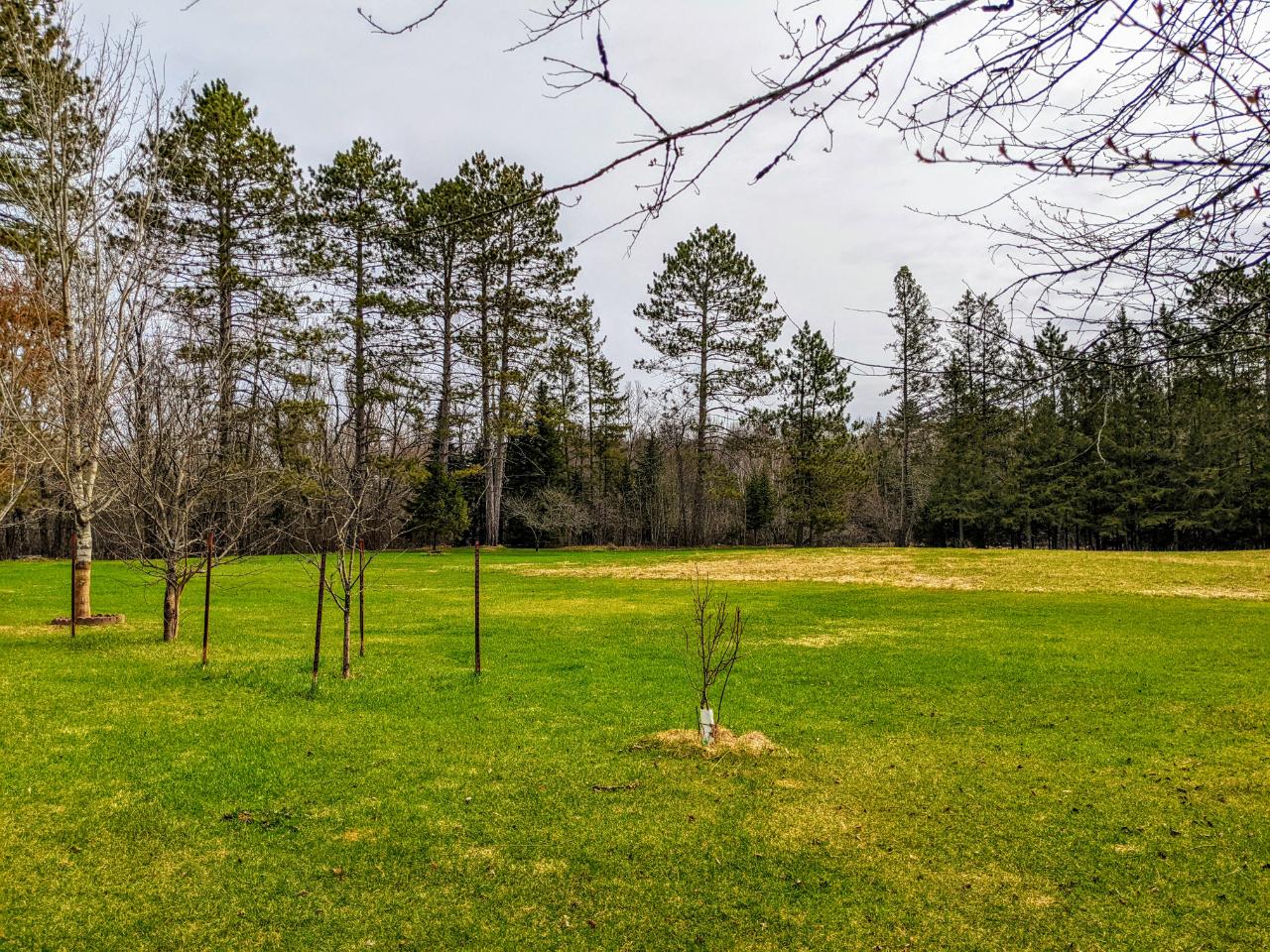 N13450 Highway 13 Fifield, WI 54524 - Photo 29 of 29 Gallery Image 29