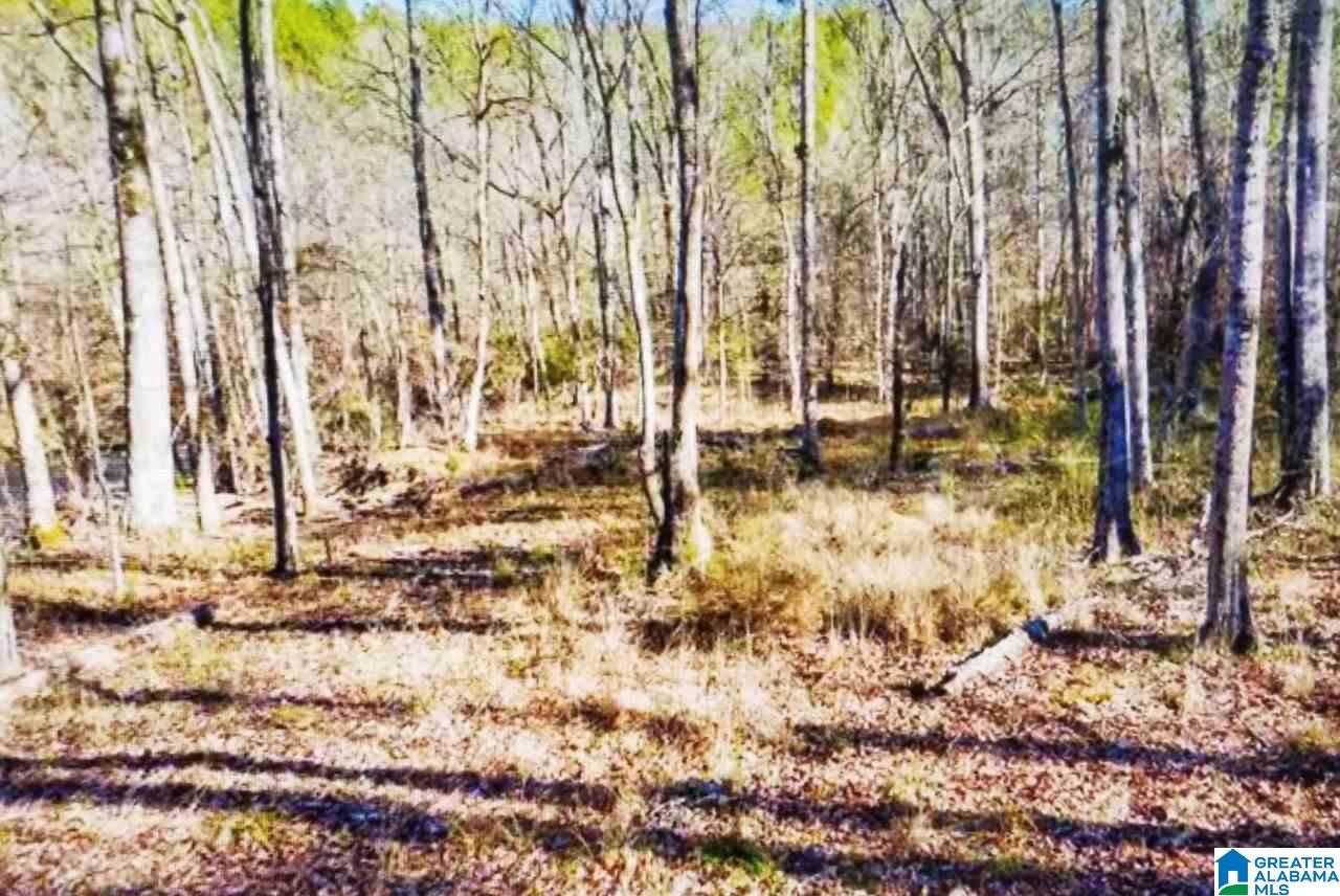 0 County Road 8, Unit 57 Clanton, AL 35046 - Photo 1 of 1