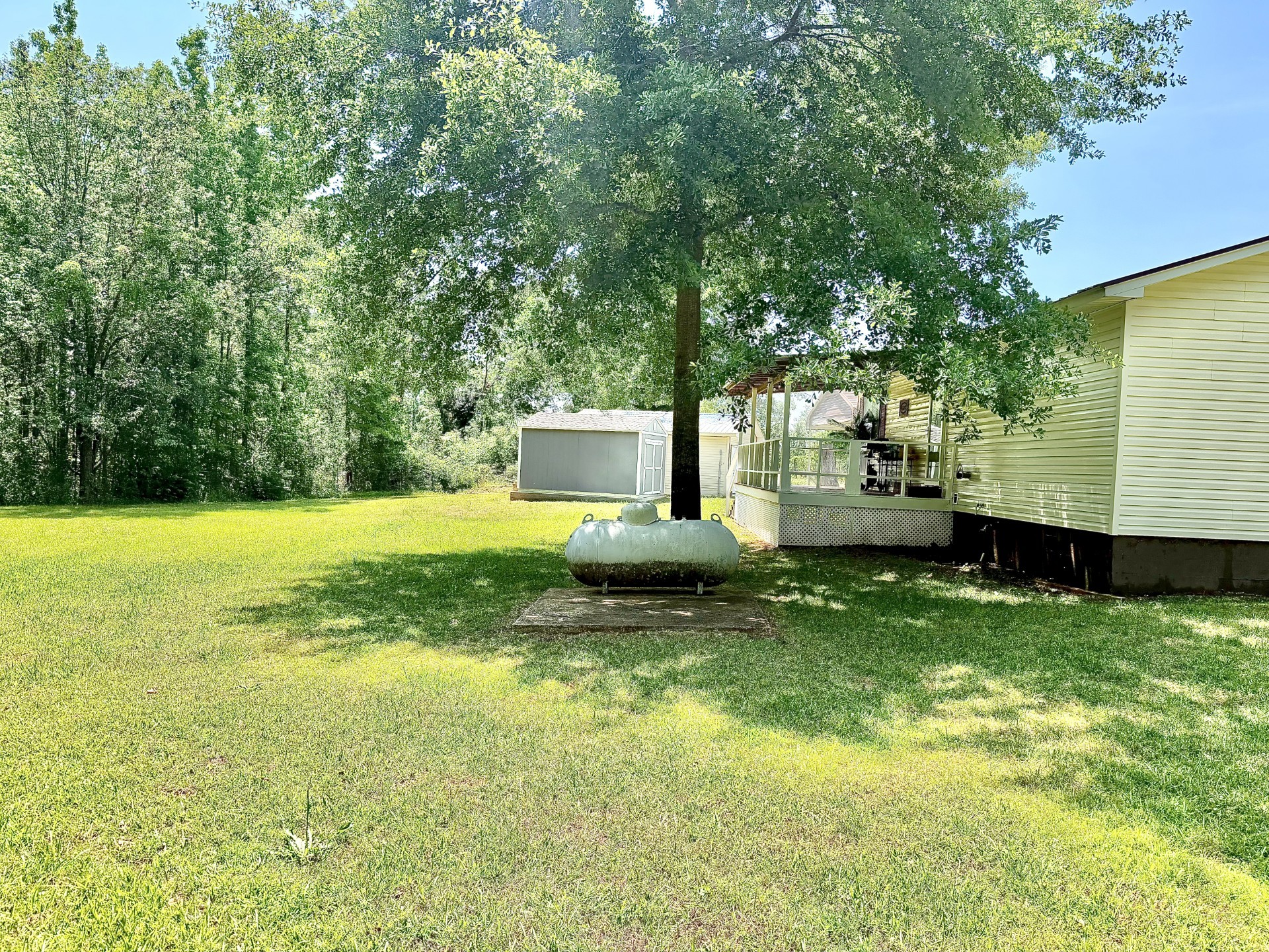 1245 Robinson Road Counce, TN 38326 - Photo 22 of 23
