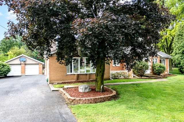 a front view of a house with a yard and trees