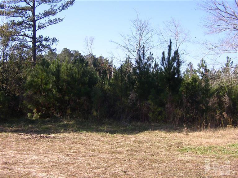 433 Lanvale Road Leland, NC 28451 - Photo 3 of 5 Additional Photo