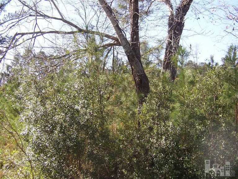 433 Lanvale Road Leland, NC 28451 - Photo 4 of 5 Additional Photo
