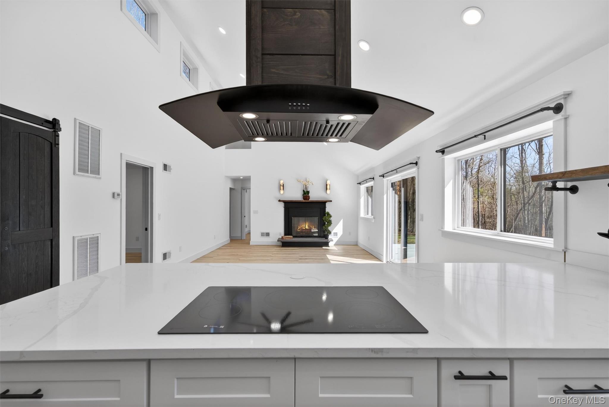 273 Perry Pond Road Narrowsburg, NY 12764 - Photo 13 of 42 Cook top with hood at breakfast counter