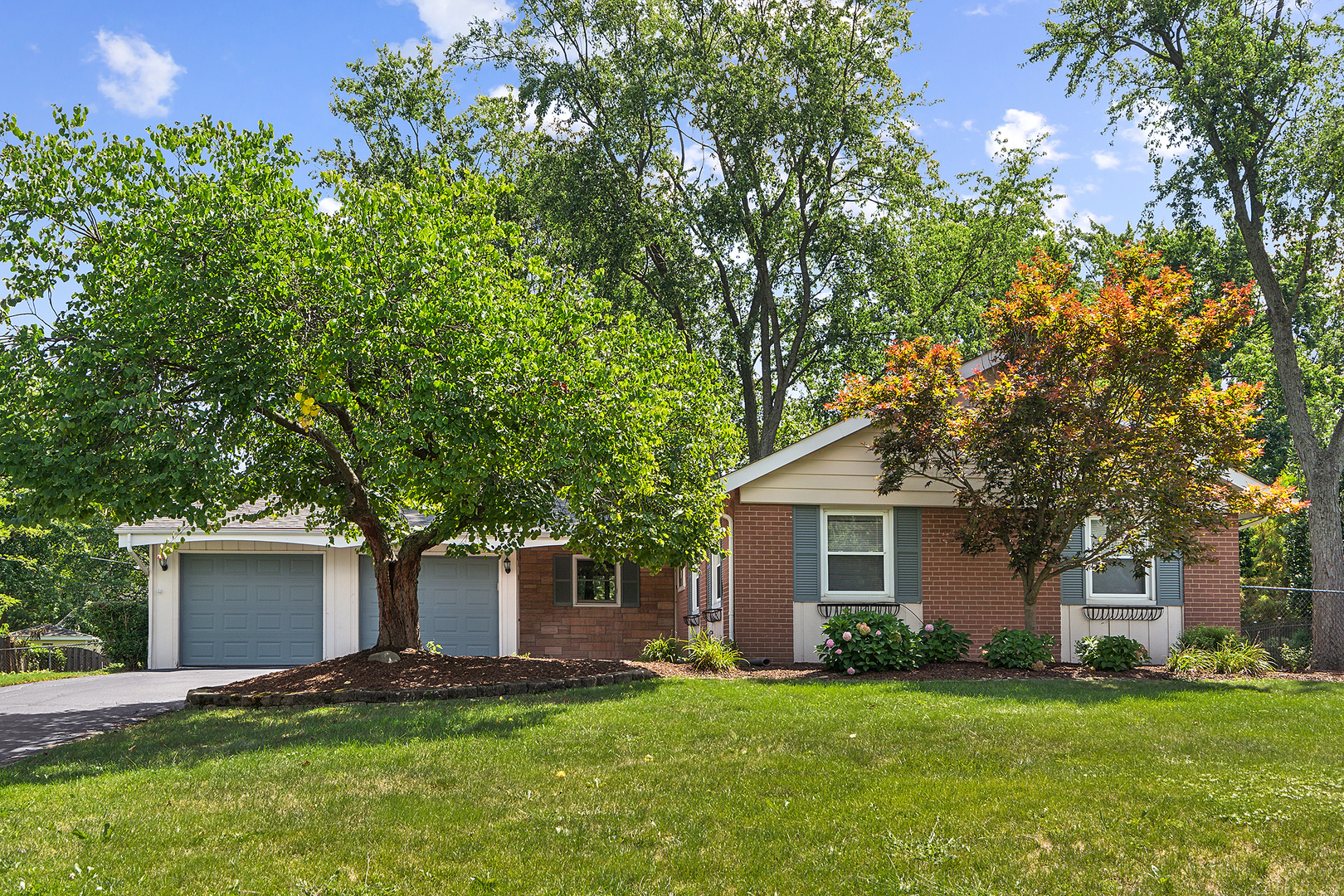 509 Hawthorne Road Frankfort, IL 60423 - Photo 1 of 36 front view of a house with a yard