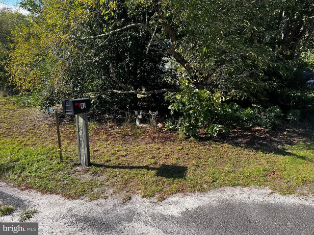a view of a wooden fence and trees