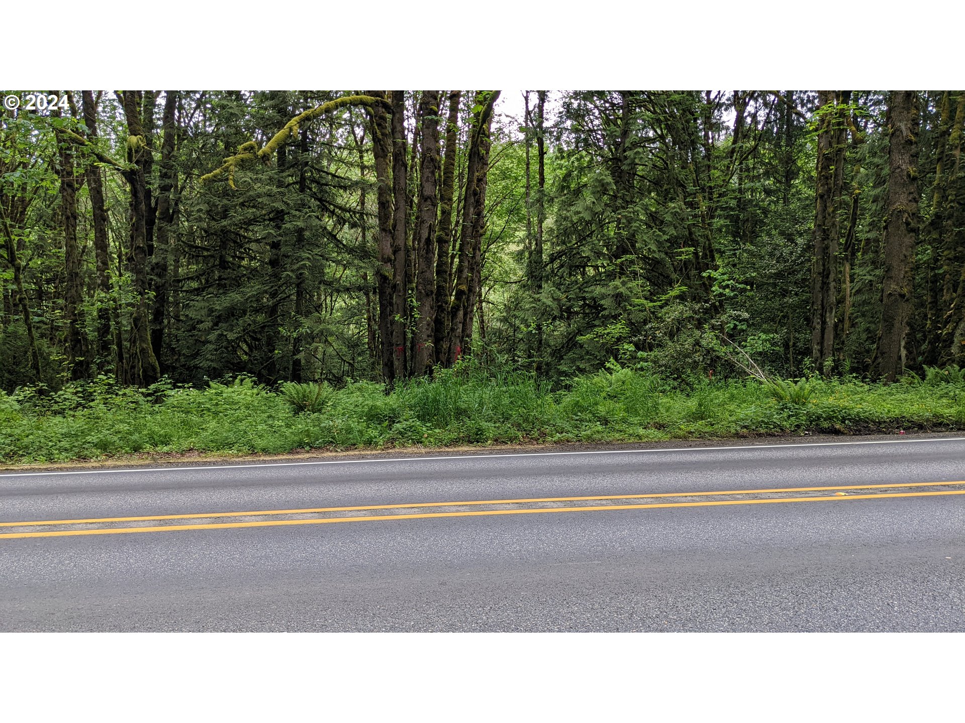 13700 Northwest Cornelius Pass Road Portland, OR 97231 - Photo 10 of 13 a open area of a house and trees