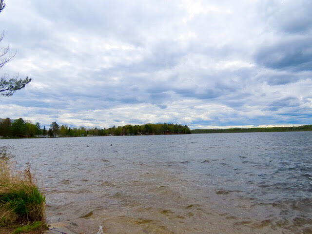 14150 Pointe Road Atlanta, MI 49709 - Photo 35 of 85 Rush Lake from Launch