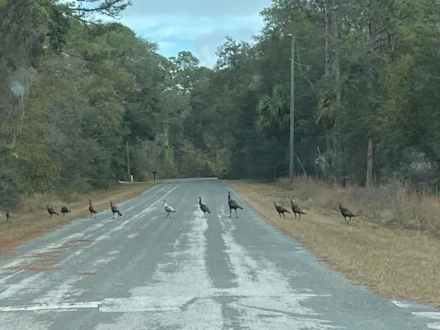 $42,000 | 3 South School Avenue, Lecanto, FL 34442