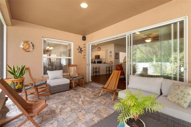 a view of a garden with plants