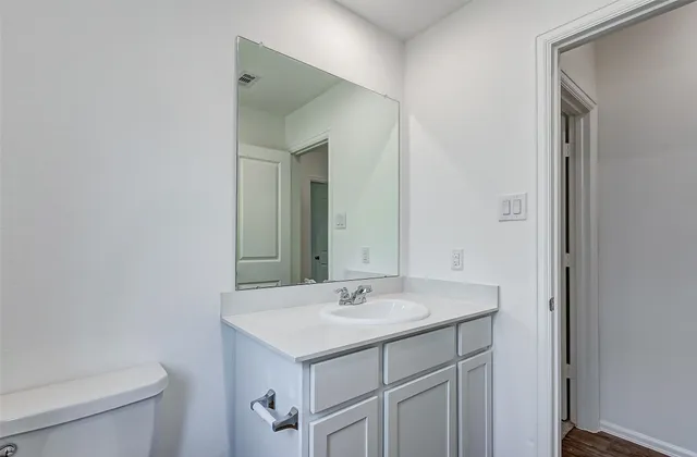 a bathroom with a sink a toilet and a mirror