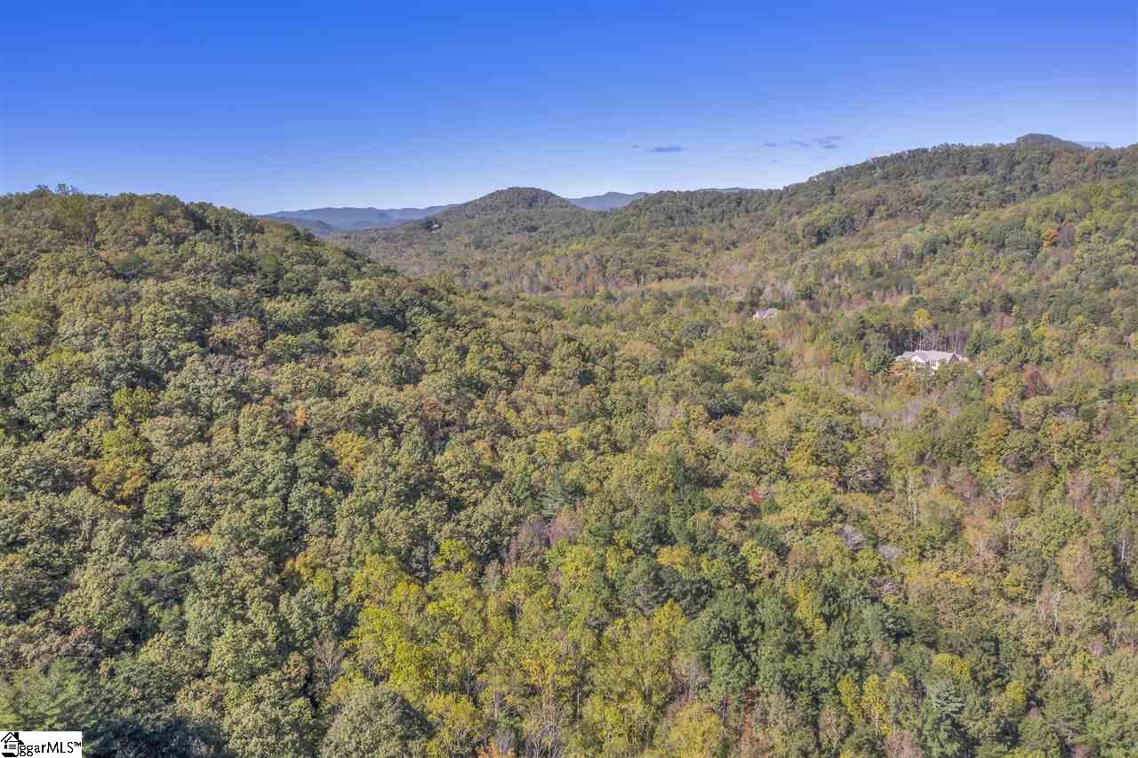 123 Pittman Road Landrum, SC 29356 - Photo 33 of 34 Gallery Image 33