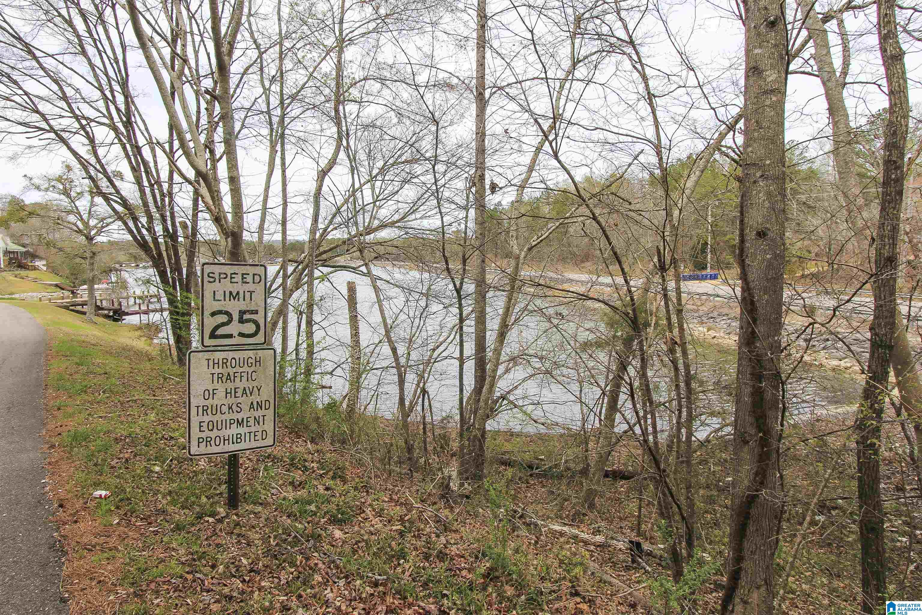 15 Mohawk Trail, Unit 4 AC Ohatchee, AL 36271 - Photo 6 of 28