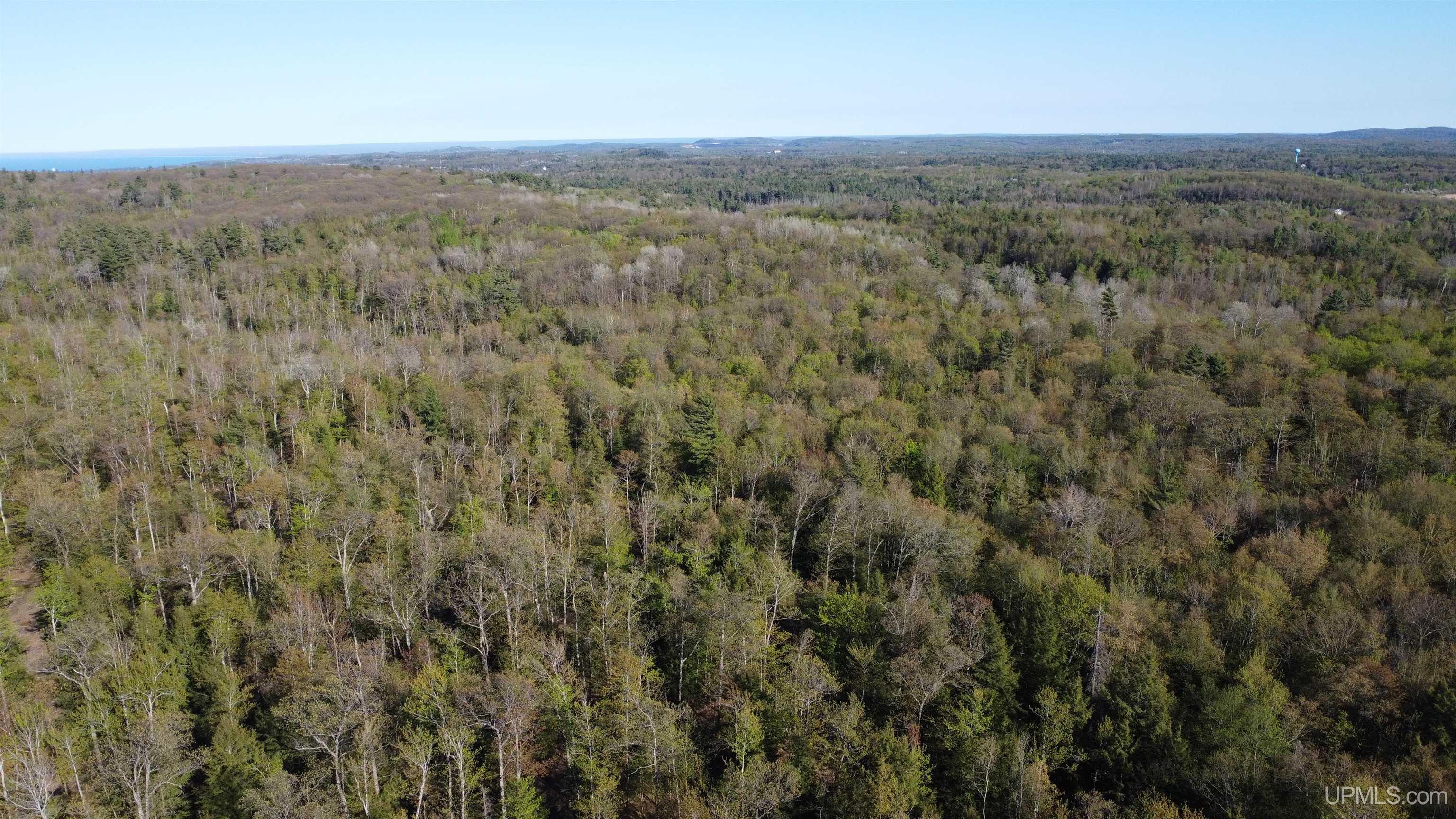 Off Off Hoist Road Negaunee, MI 49866 - Photo 5 of 45