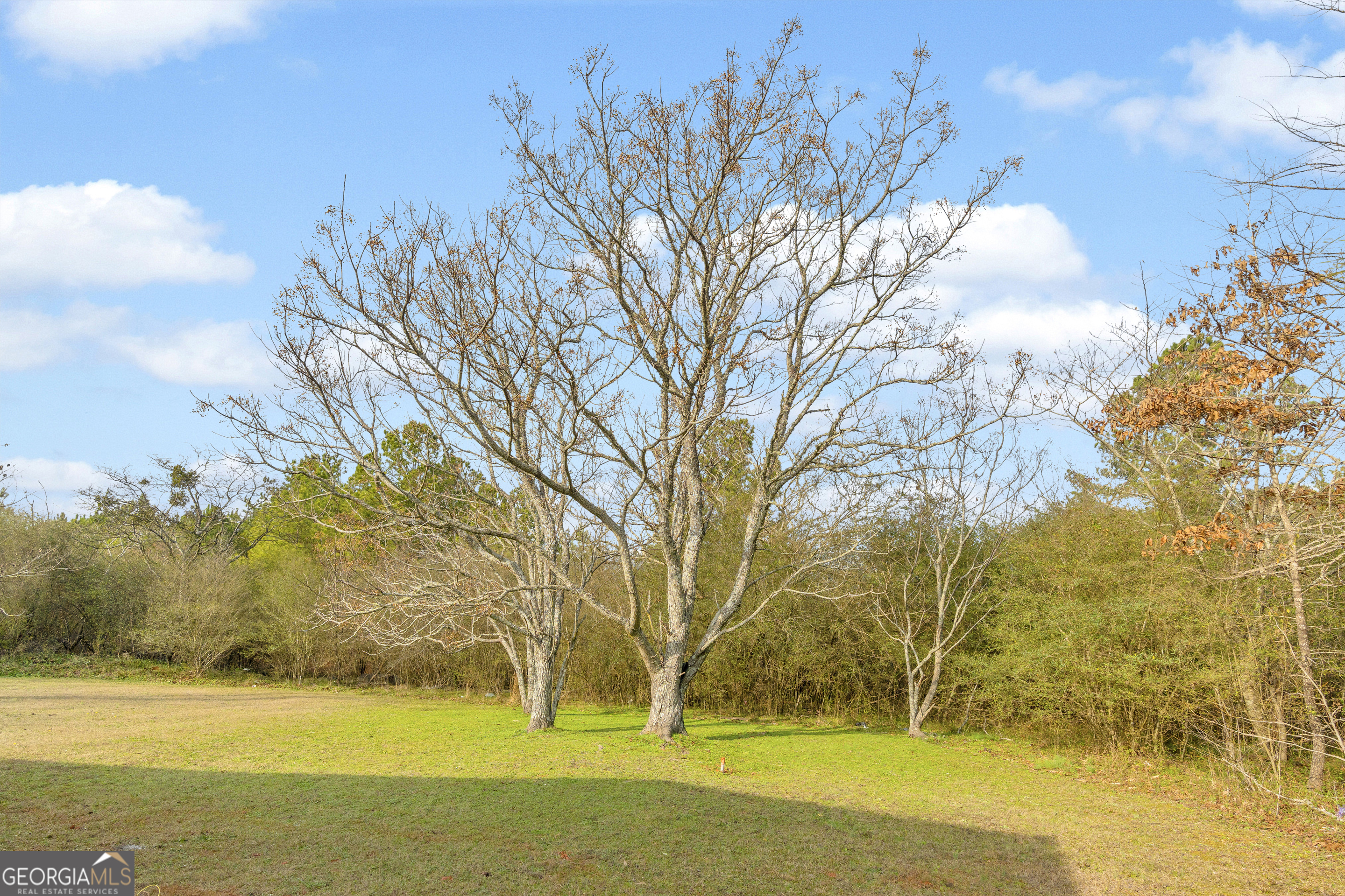 1160 Planing Mill Road Greensboro, GA 30642 - Photo 20 of 76 a view of yard with swimming pool