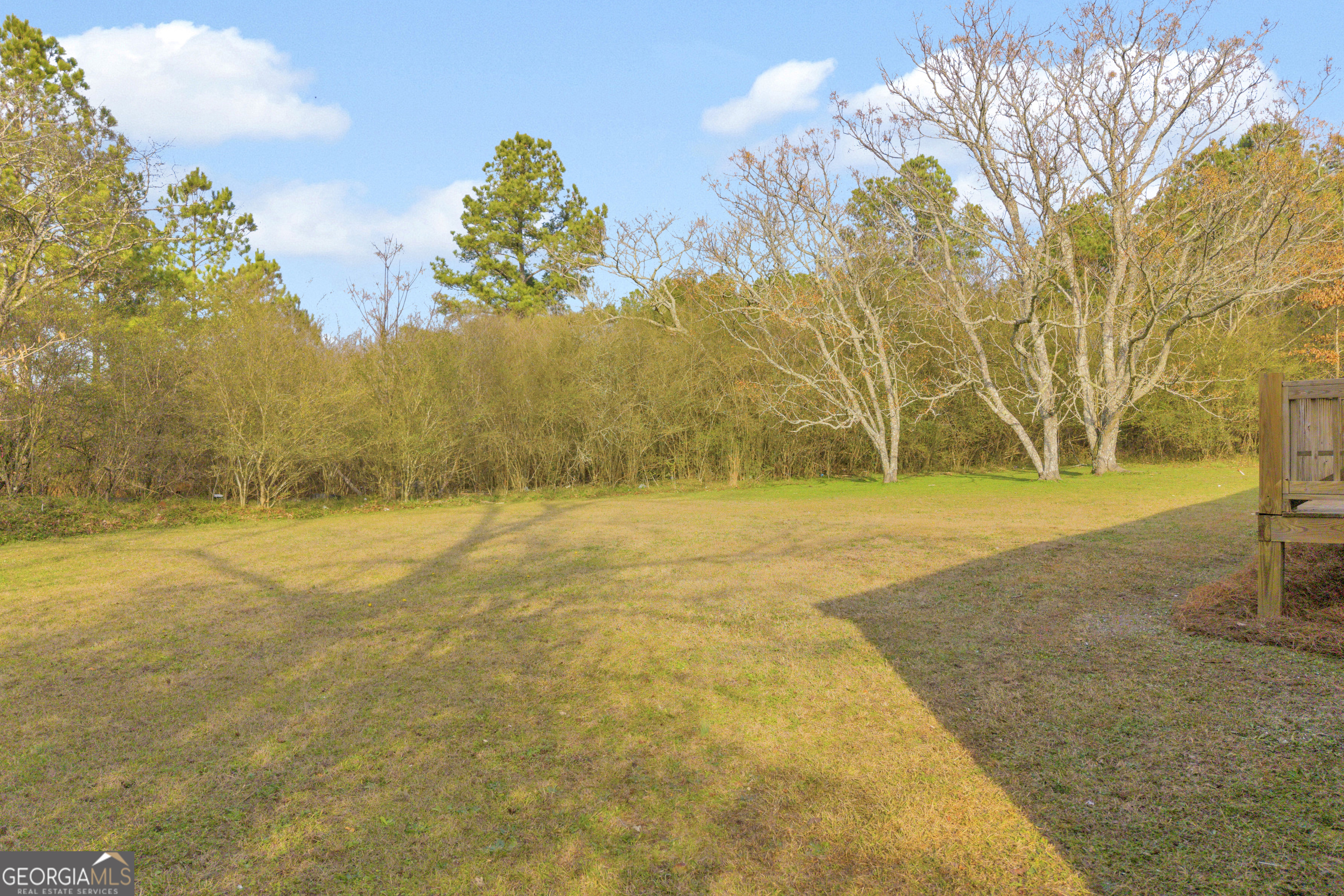 1160 Planing Mill Road Greensboro, GA 30642 - Photo 10 of 76 a view of swimming pool