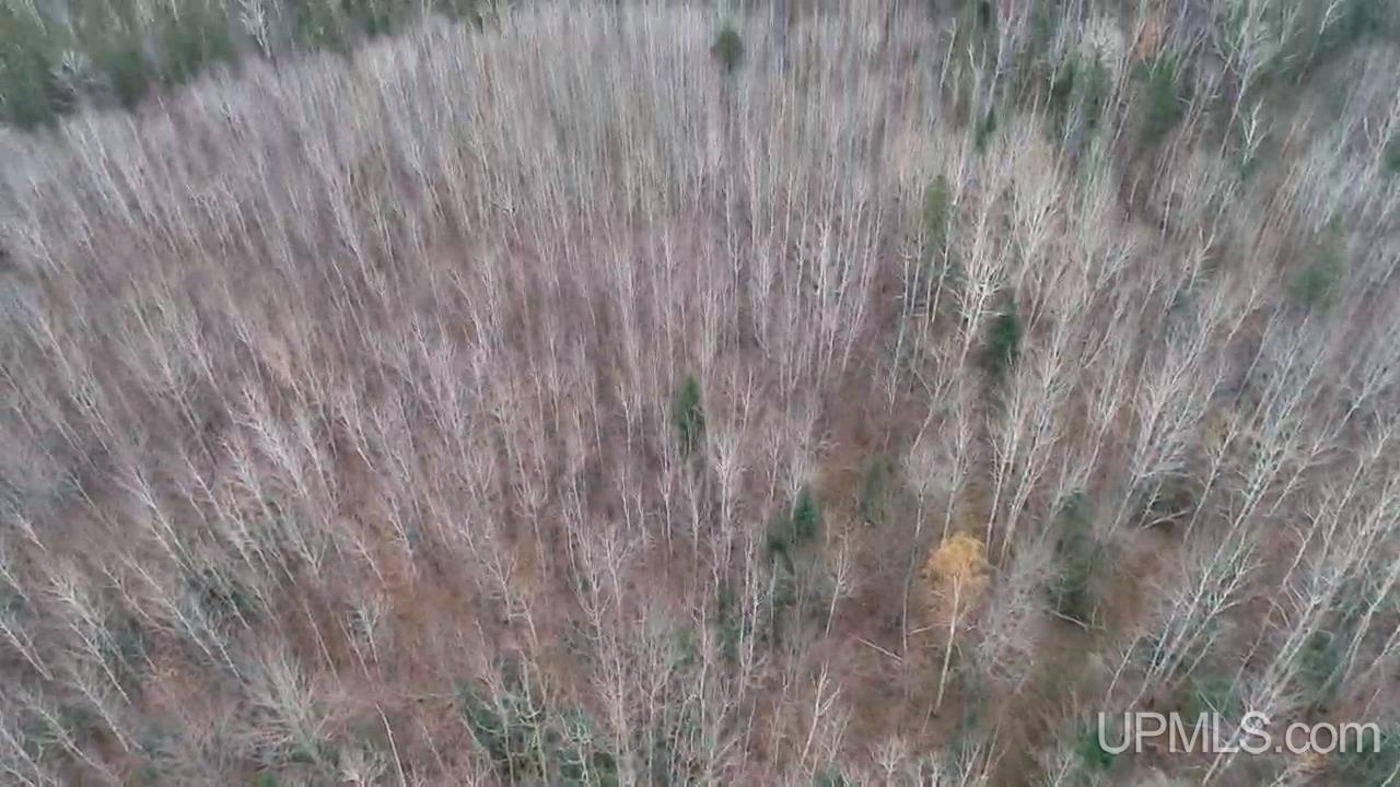 407 Rd Newberry Mi 49868 Road Newberry, MI 49868 - Photo 5 of 5