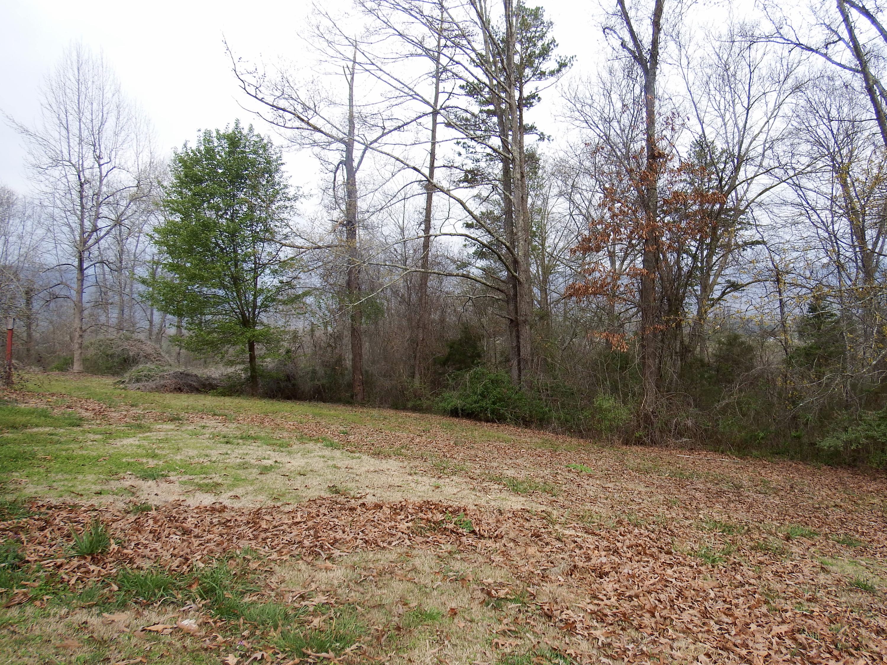 226 Francis Spring Road Whitwell, TN 37397 - Photo 21 of 21 DSCF1490