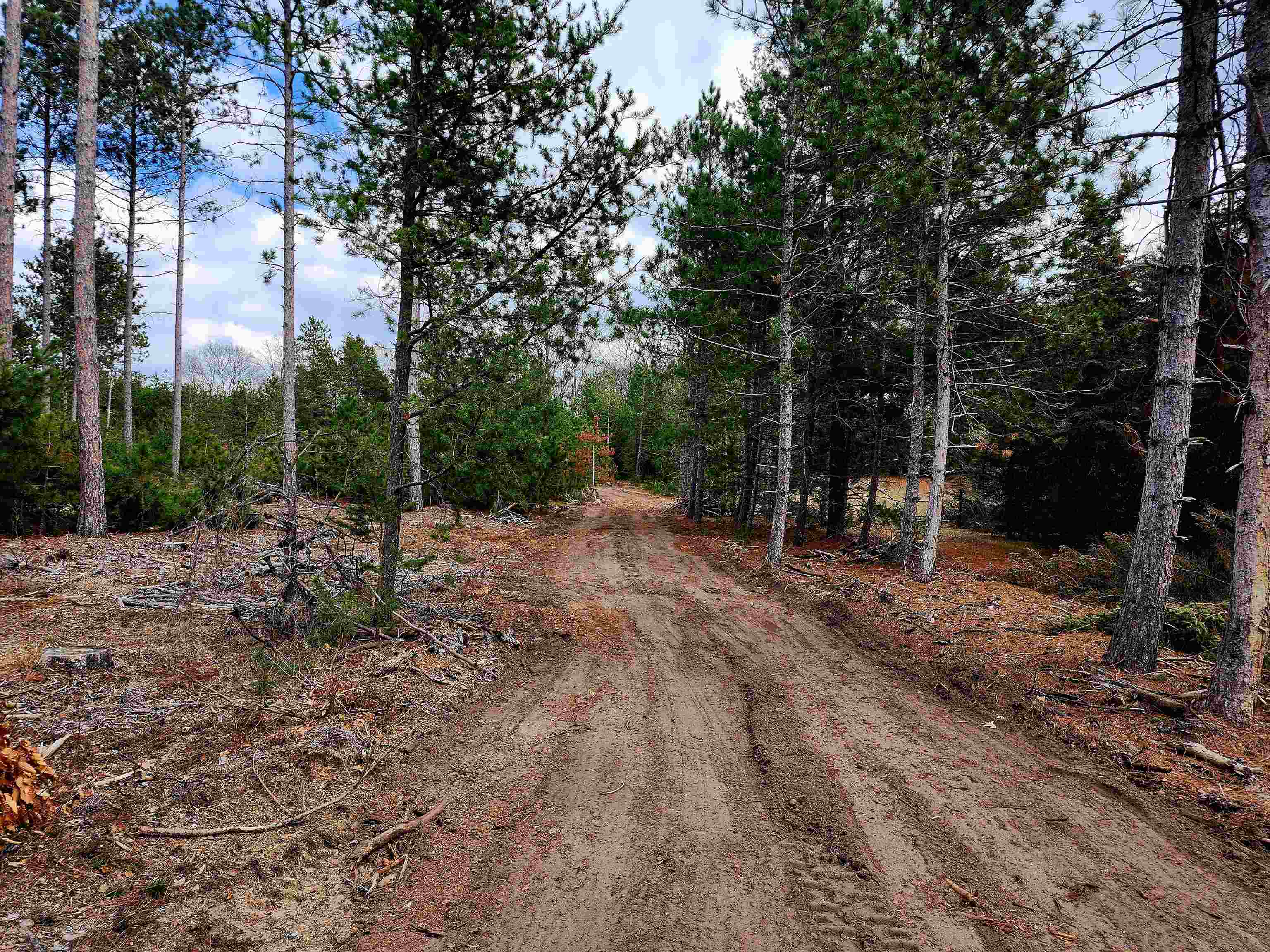 10-acres Niemi Road Kaleva, MI 49645 - Photo 5 of 24
