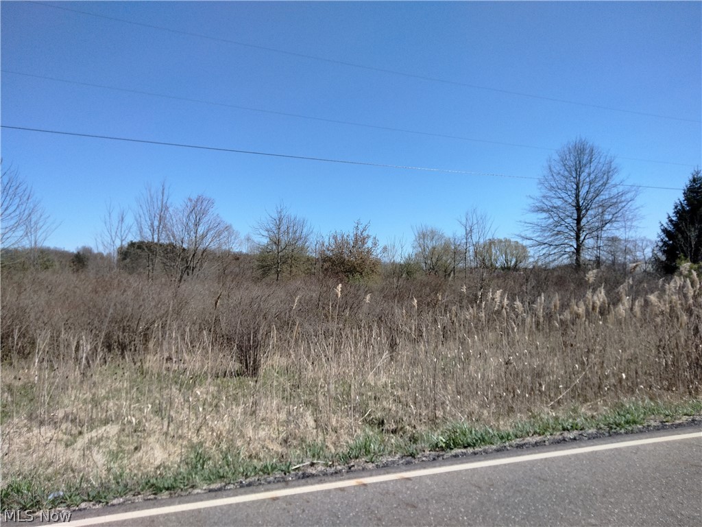 Bedell Road Berlin Center, OH 44401 - Photo 11 of 15