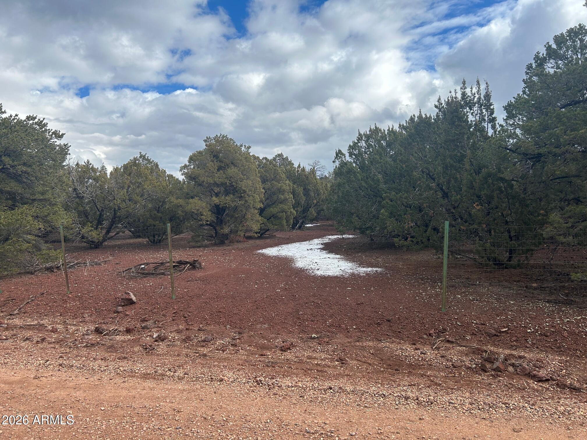 Lot 86 Ricks Road, Unit 86 Concho, AZ 85924 - Photo 12 of 14 a view of a yard with a tree