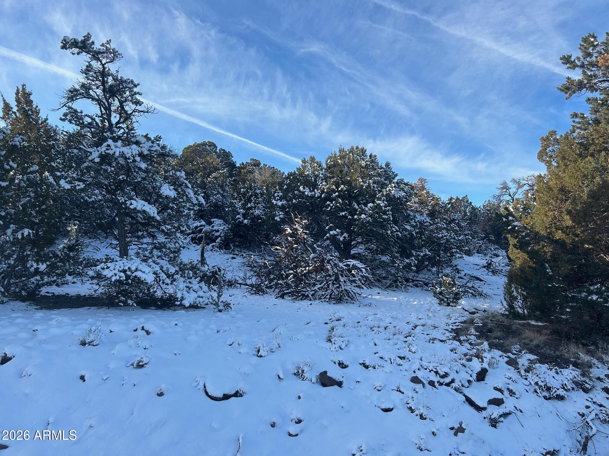 Lot 86 Ricks Road, Unit 86 Concho, AZ 85924 - Photo 13 of 14 a view of outdoor space view