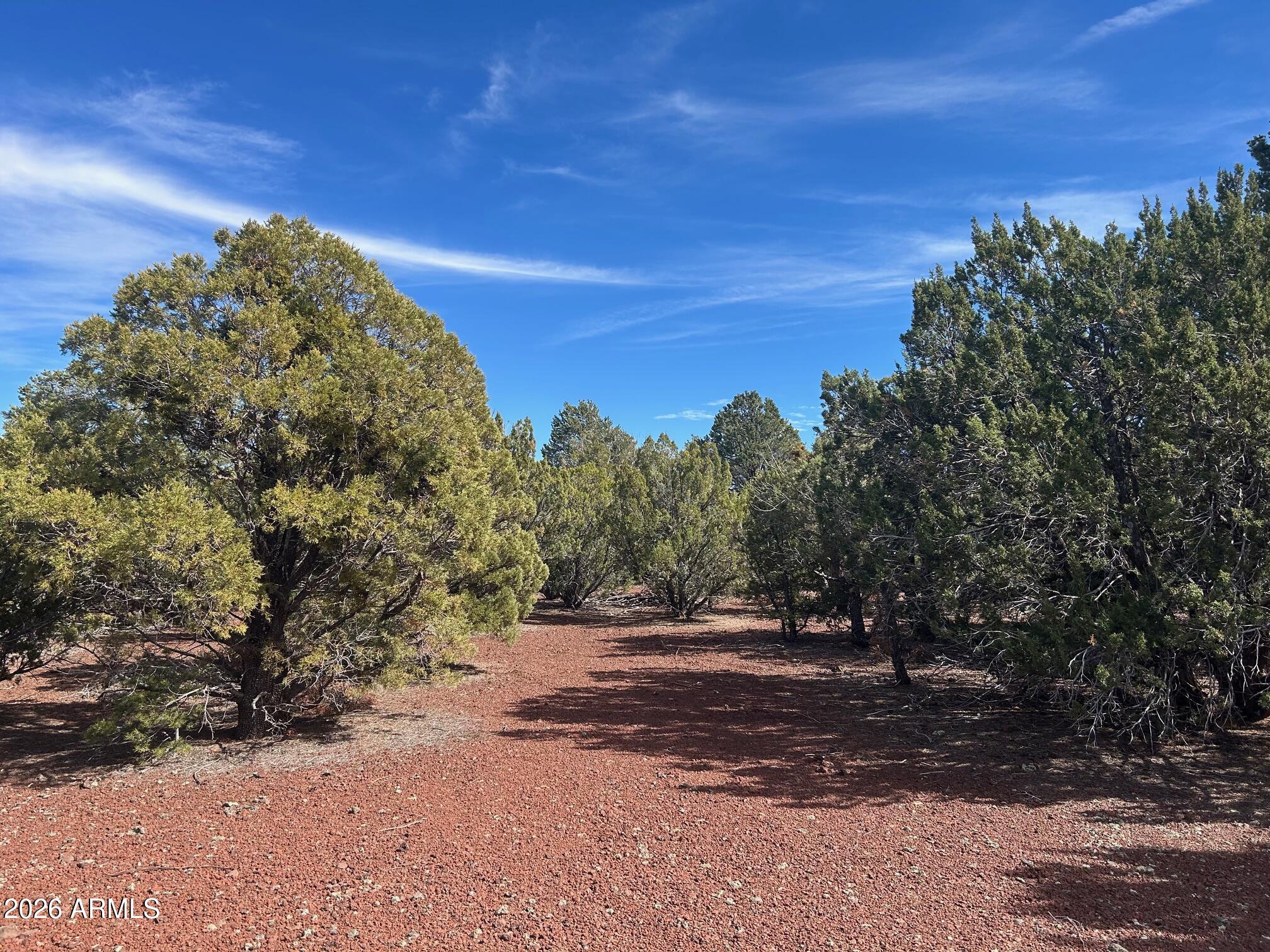Lot 86 Ricks Road, Unit 86 Concho, AZ 85924 - Photo 2 of 14 a view of a yard with a tree