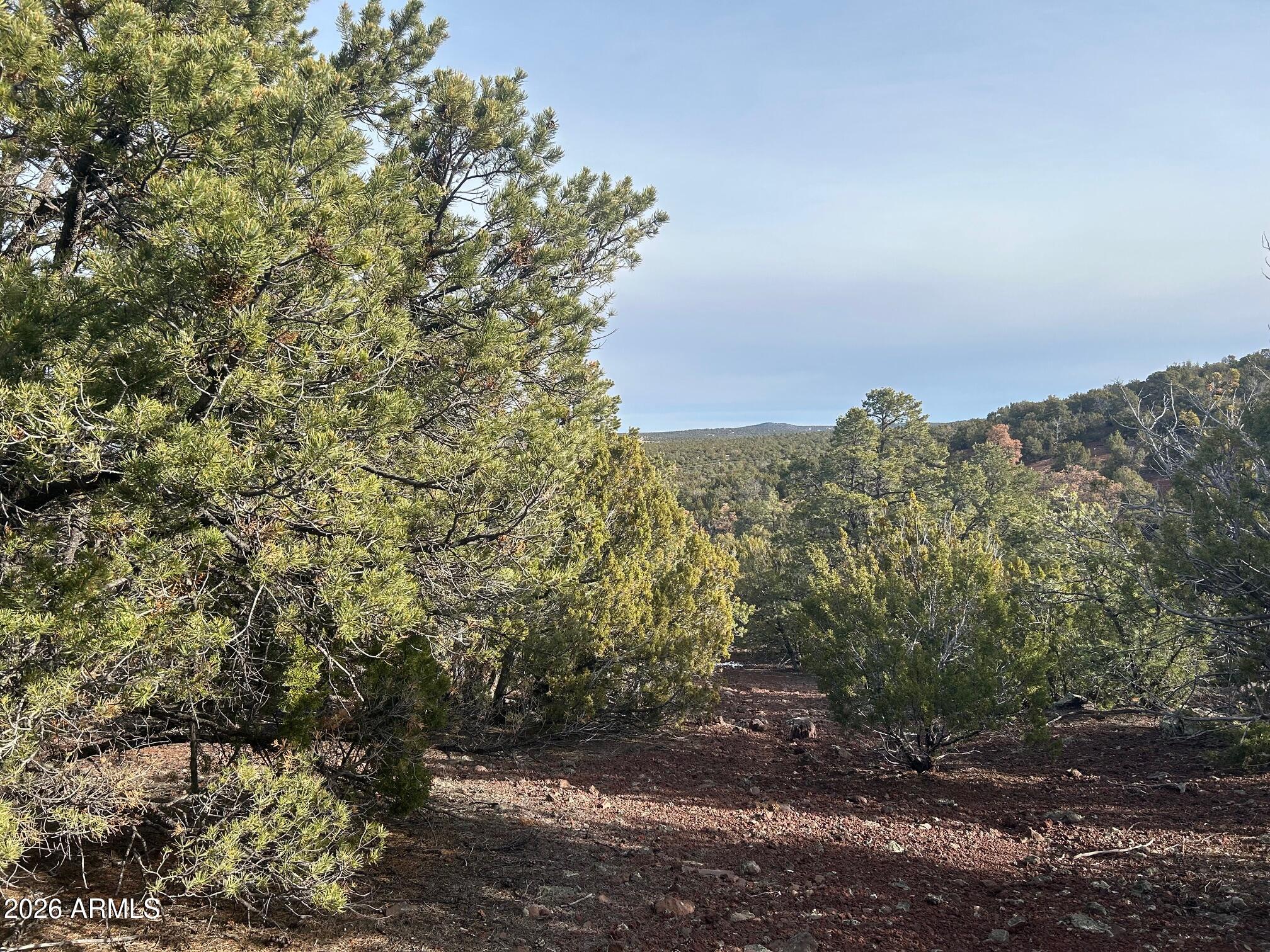Lot 86 Ricks Road, Unit 86 Concho, AZ 85924 - Photo 3 of 14 a view of a large building with a forest