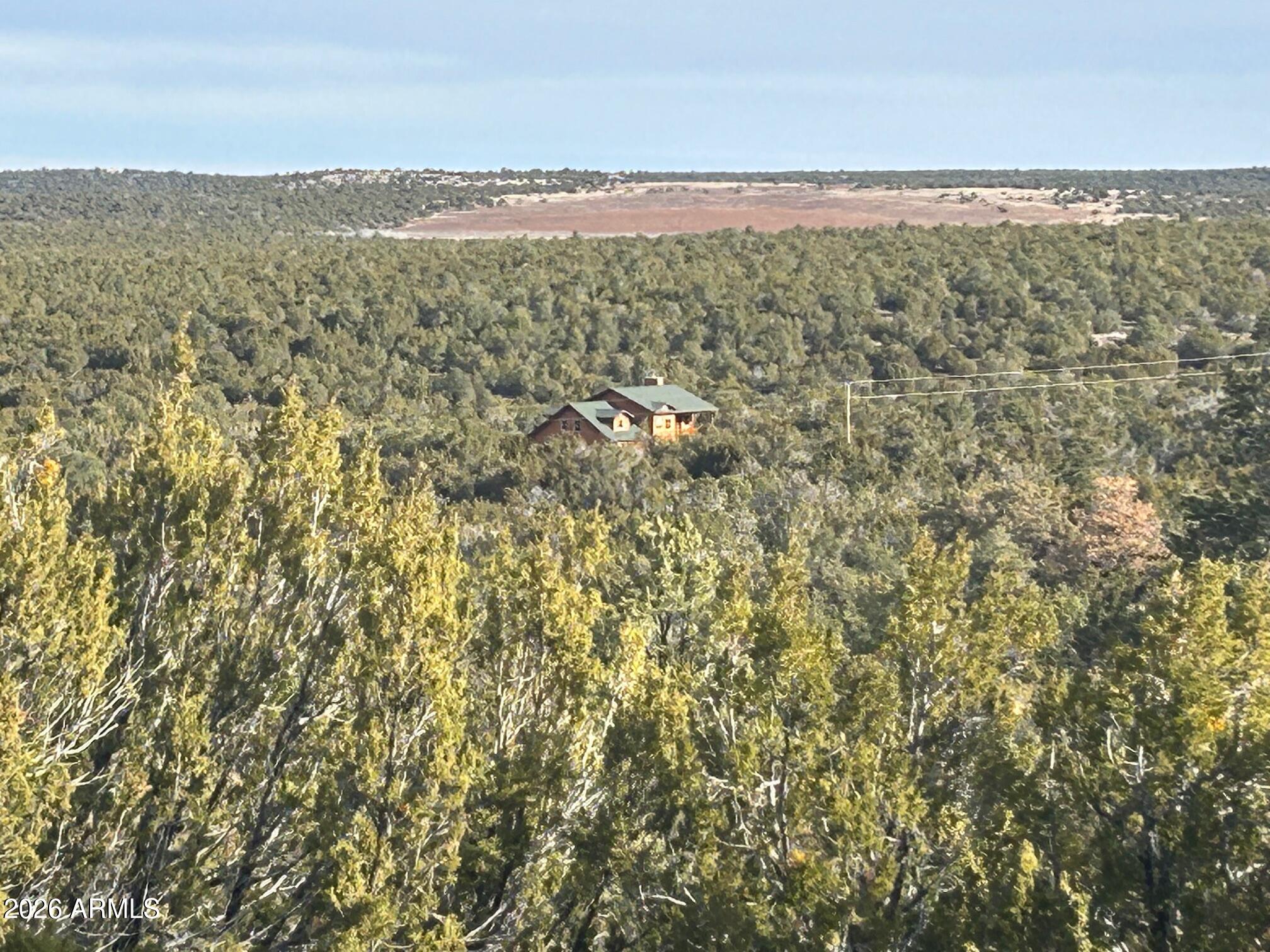 Lot 86 Ricks Road, Unit 86 Concho, AZ 85924 - Photo 5 of 14 a view of an ocean