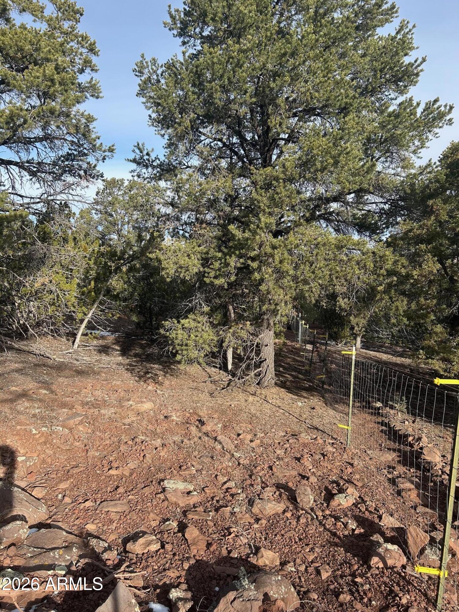 Lot 86 Ricks Road, Unit 86 Concho, AZ 85924 - Photo 8 of 14 a backyard of a house with table and chairs