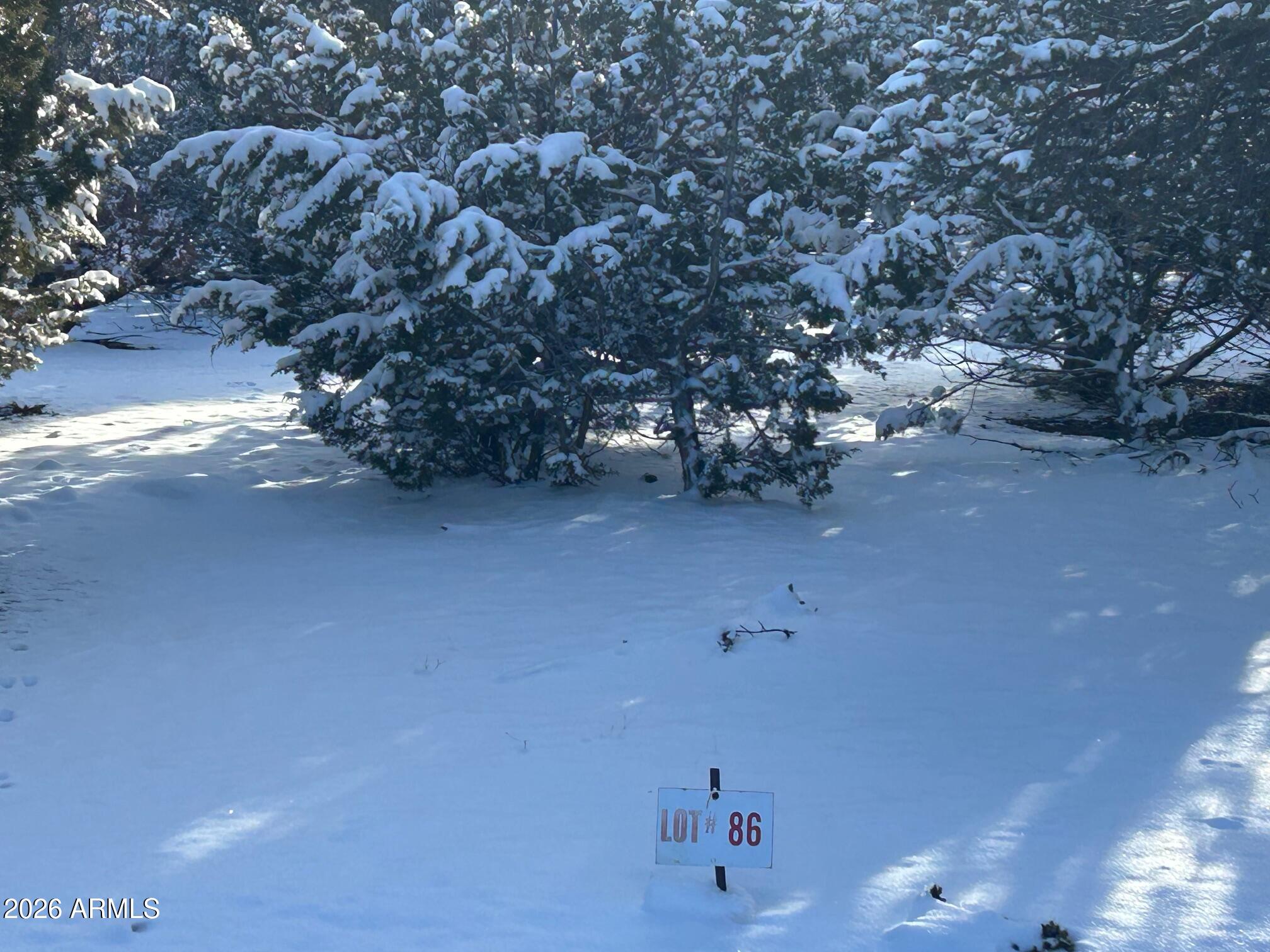 Lot 86 Ricks Road, Unit 86 Concho, AZ 85924 - Photo 10 of 14 a view of a forest
