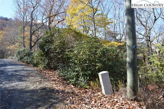 a workspace space with lots of trees