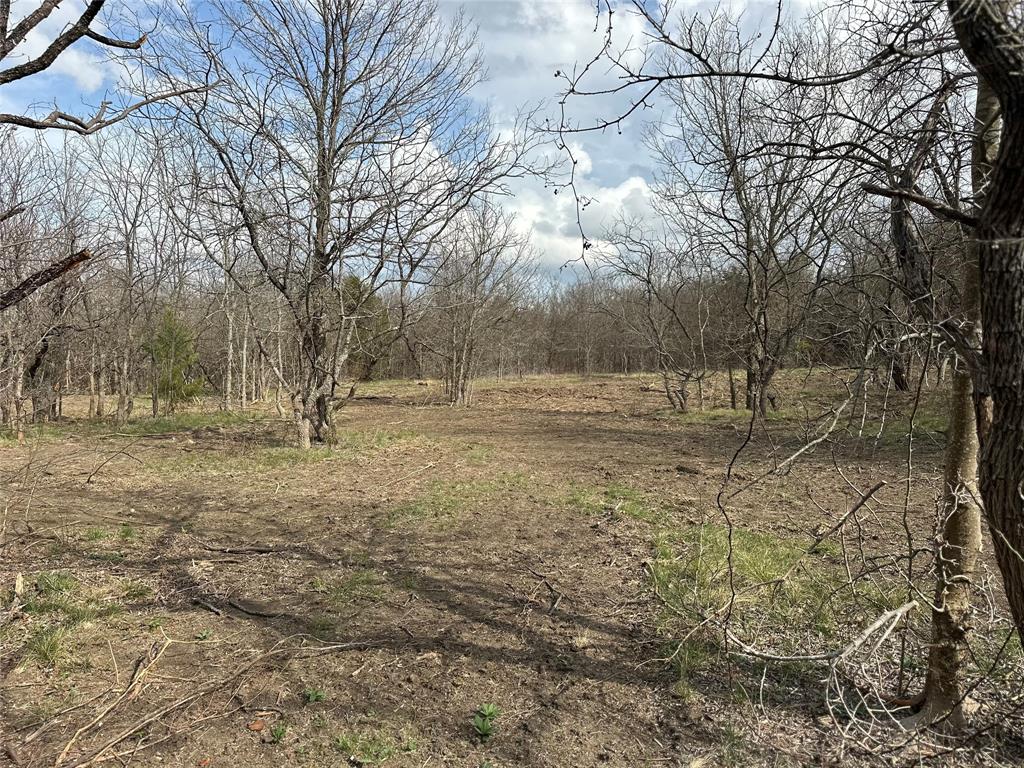 0 Sandswitch Road Ennis, TX 75119 - Photo 10 of 31 a view of dirt field with trees