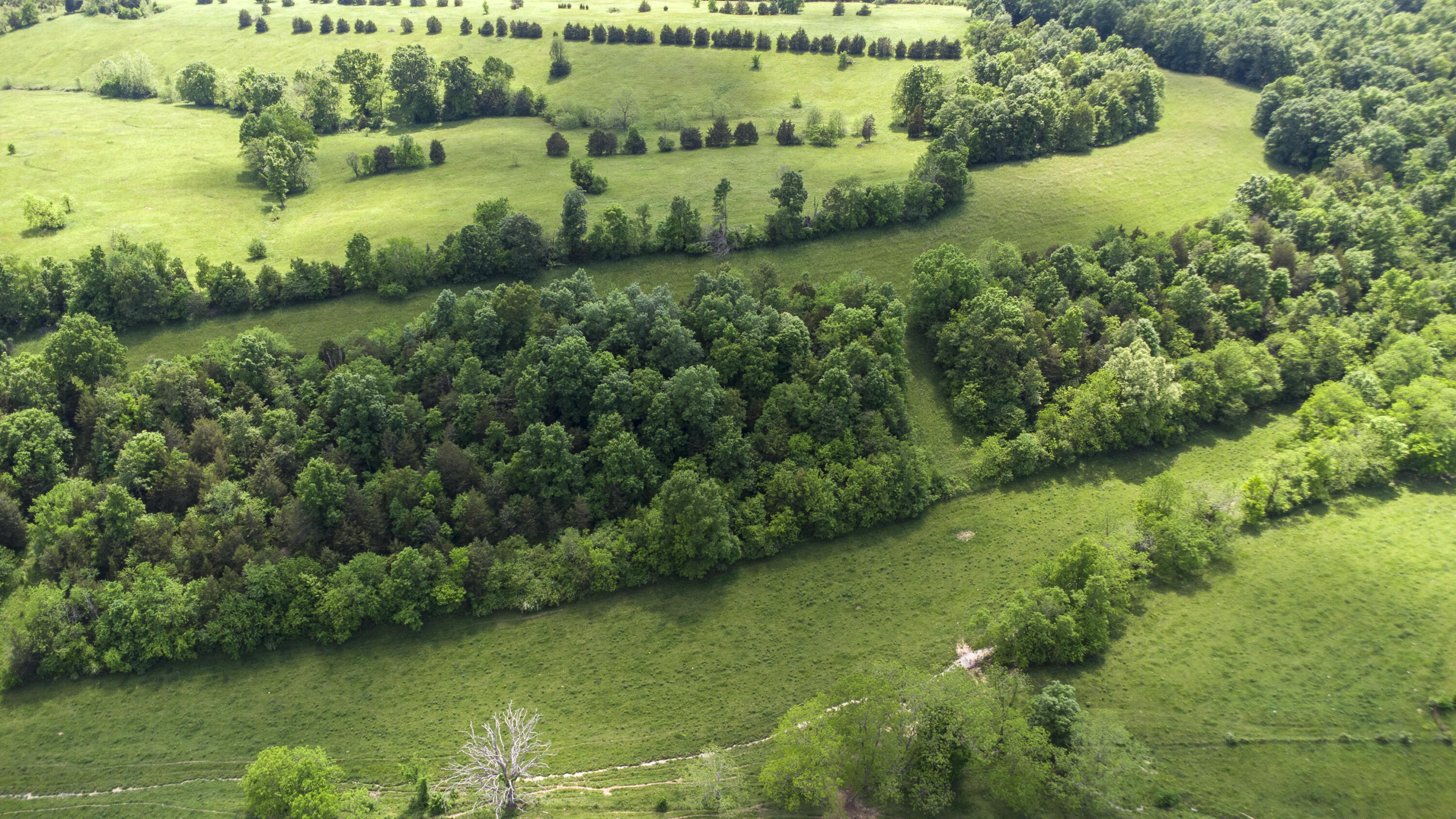 850 West Gardner Road Cynthiana, KY 41031 - Photo 35 of 45