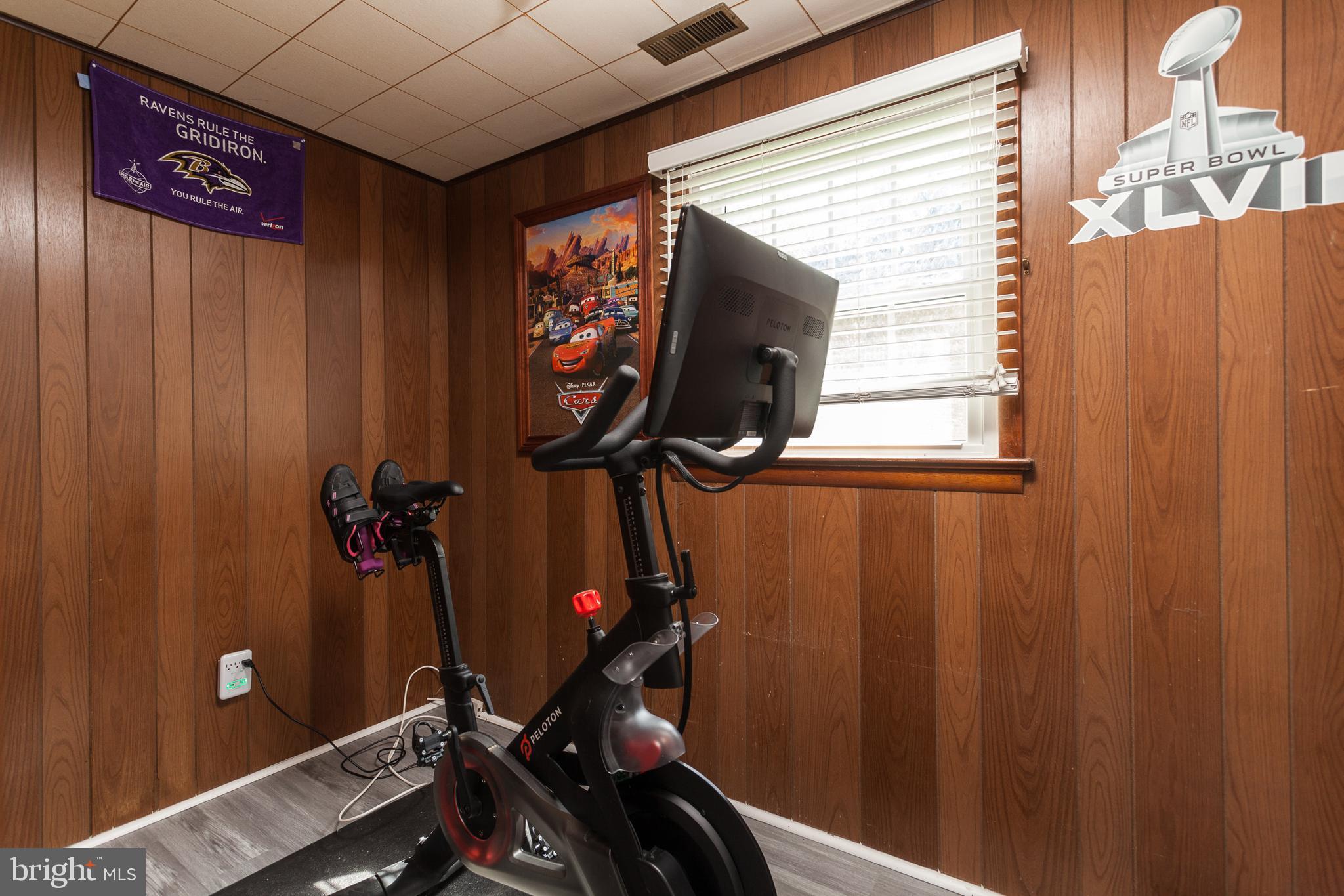 248 Cinder Road Lutherville-Timonium, MD 21093 - Photo 20 of 26 Exercise and Wellness Room