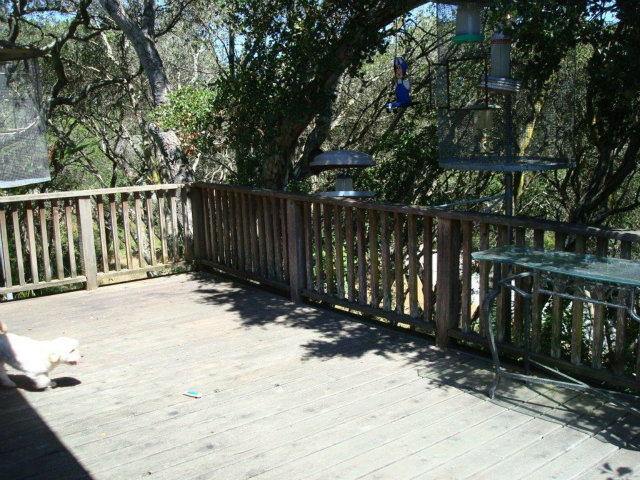 6343 Tustin Road Prunedale, CA 93907 - Photo 6 of 9 Gallery Image 6