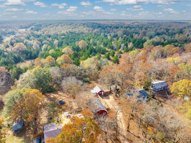 a view of a yard with plants