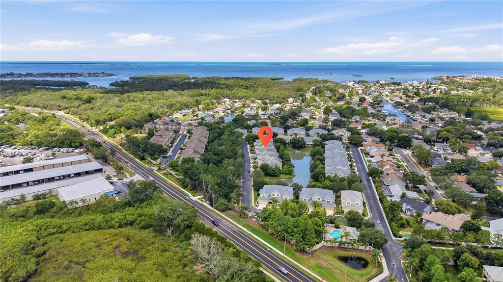 497 Harbor Ridge Drive Palm Harbor, FL 34683 - Photo 48 of 52