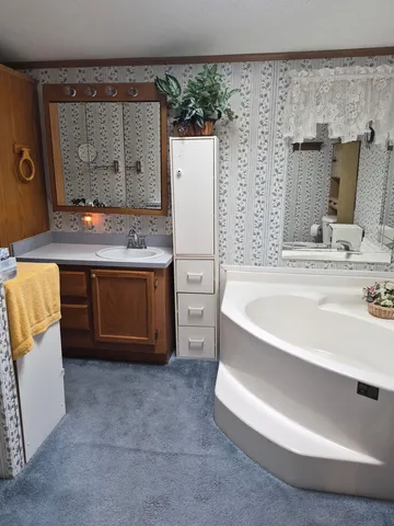 a bathroom with a tub sink and mirror